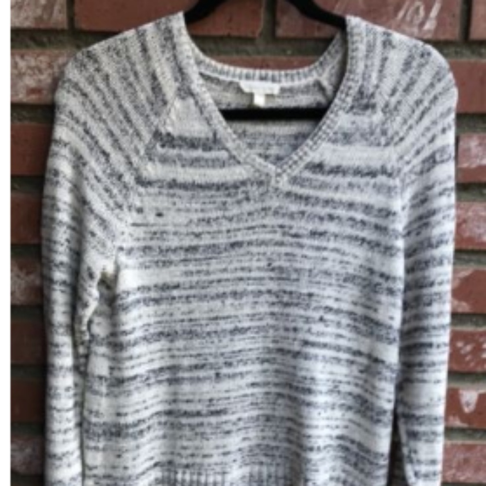 Eileen Fisher Women Cotton Blend Sweater